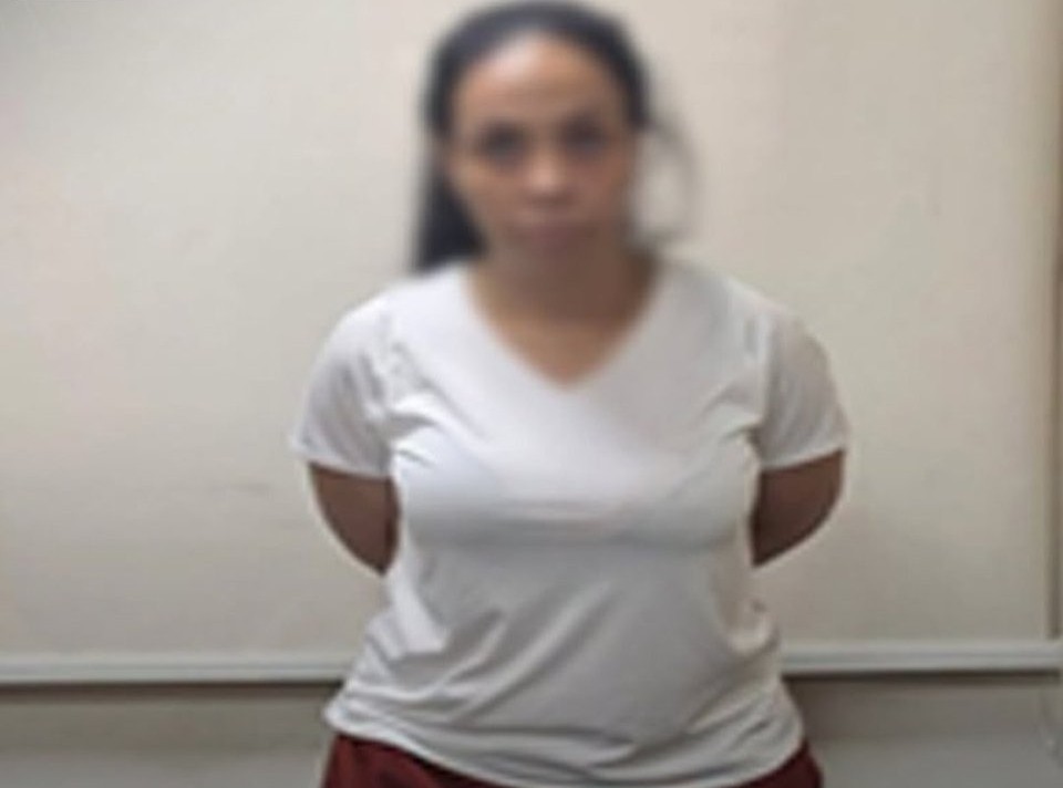 المفتاح المصطنع.. الداخلية تكشف ملابسات سرق شقة وزير الداخلية السابق بالمهندسين